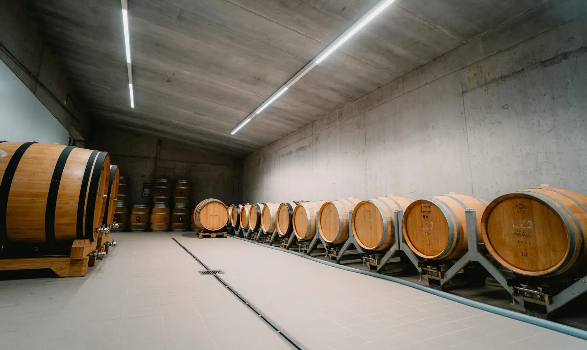 Alpine wines with character